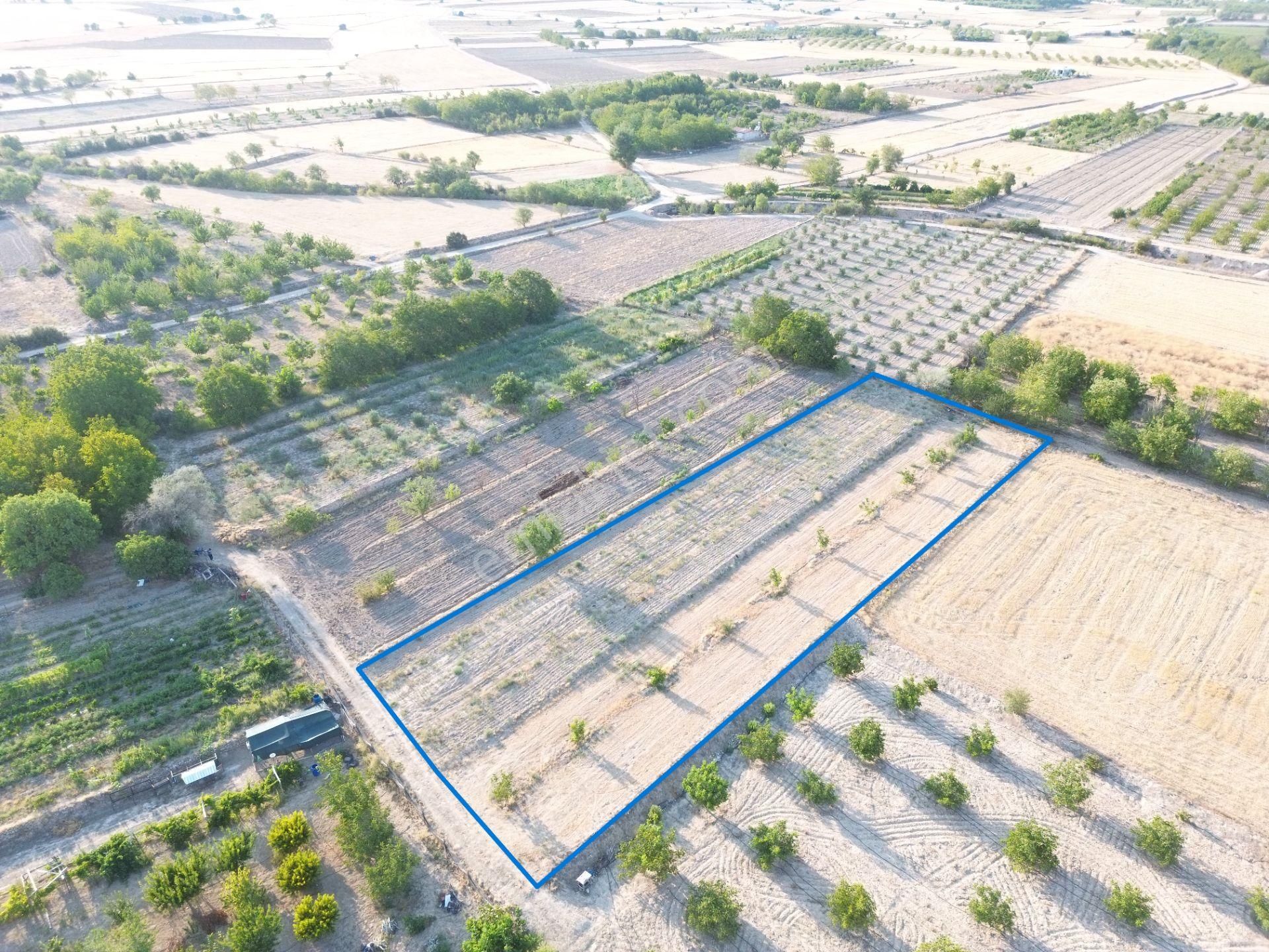 Korkuteli Yeltende Satılık Sulak Bahçe 2997 M2 Bahçee - Görsel 14