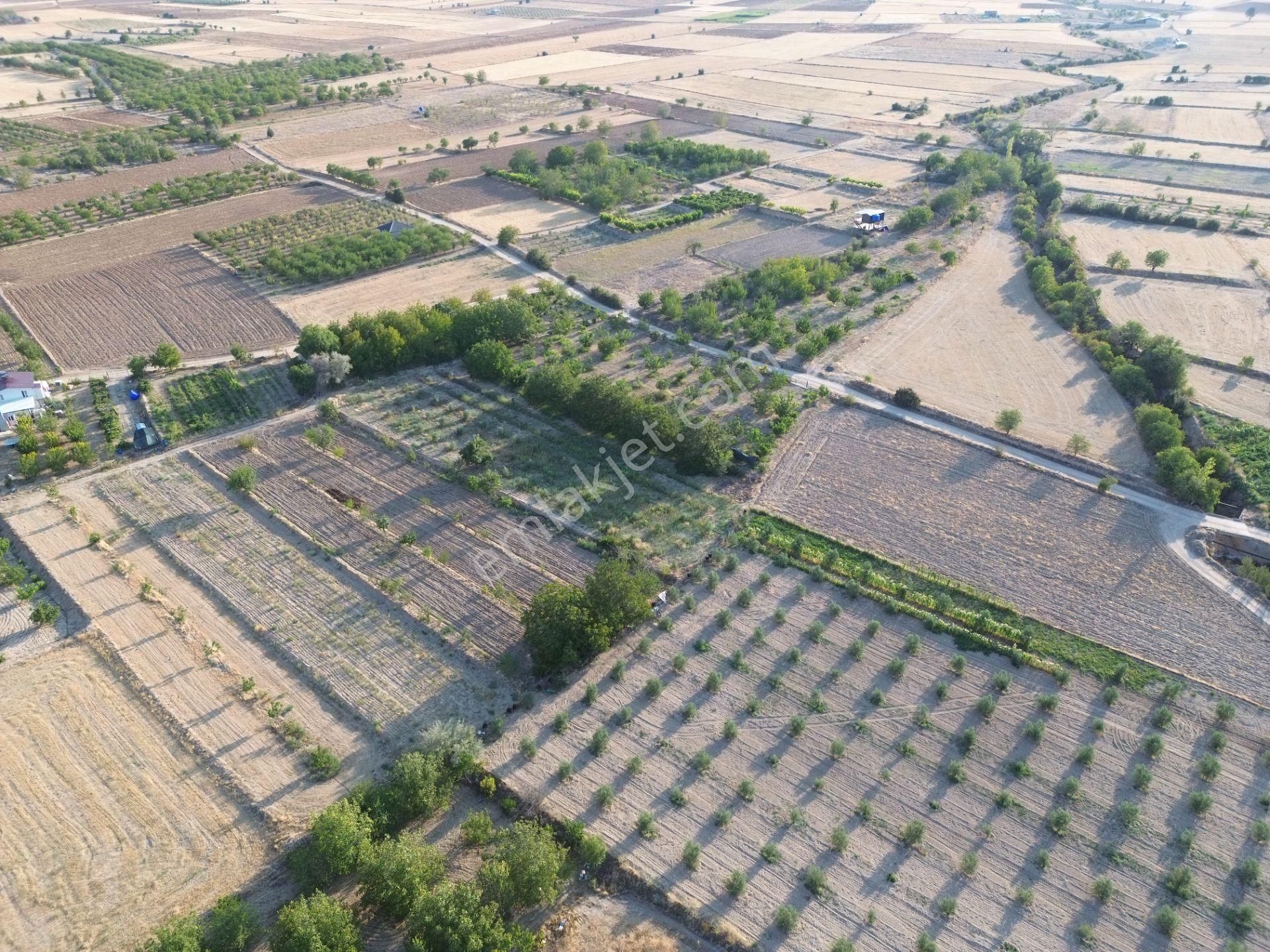 Korkuteli Yeltende Satılık Sulak Bahçe 2997 M2 Bahçee - Görsel 10