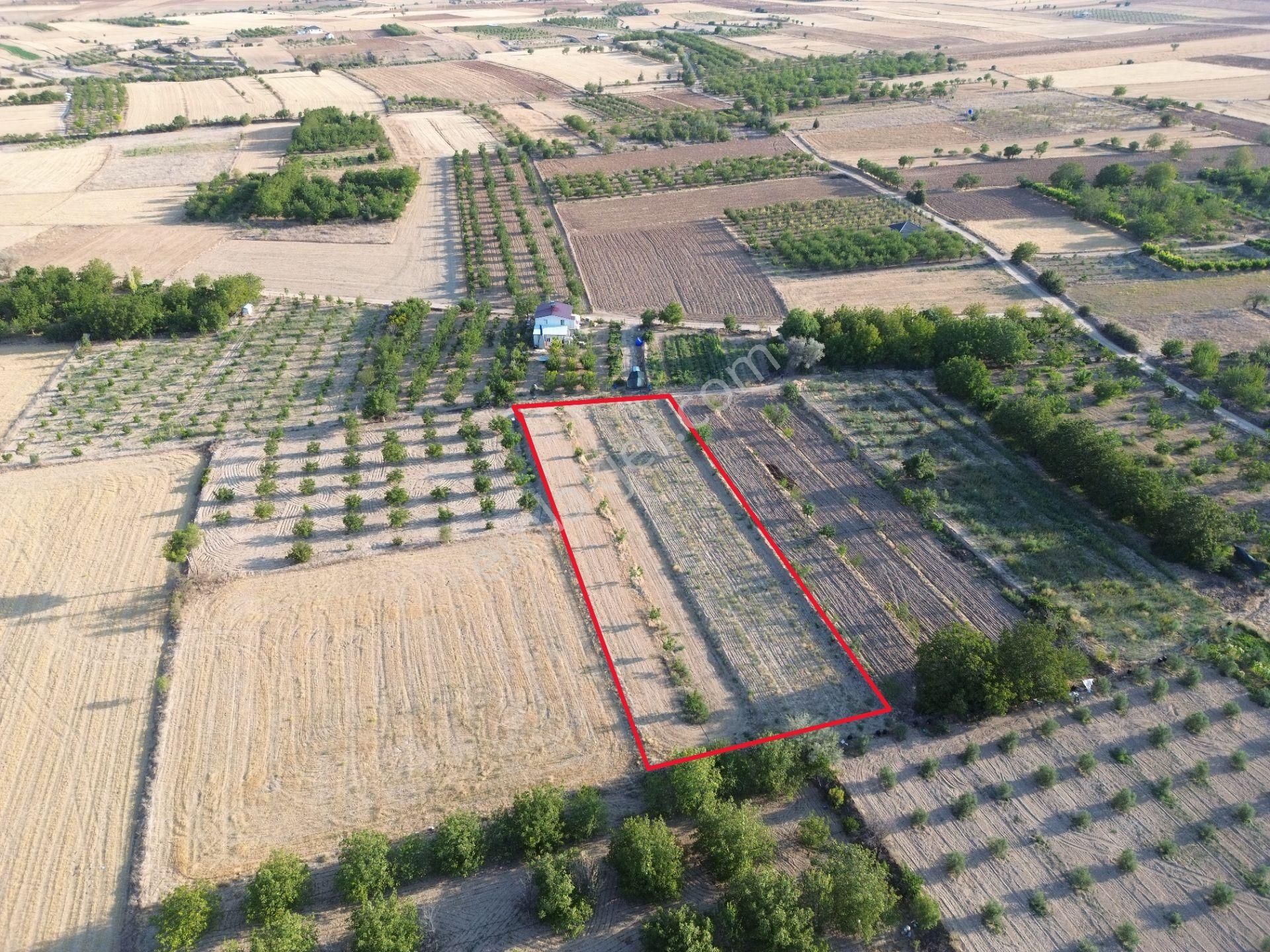 Korkuteli Yeltende Satılık Sulak Bahçe 2997 M2 Bahçee - Görsel 15