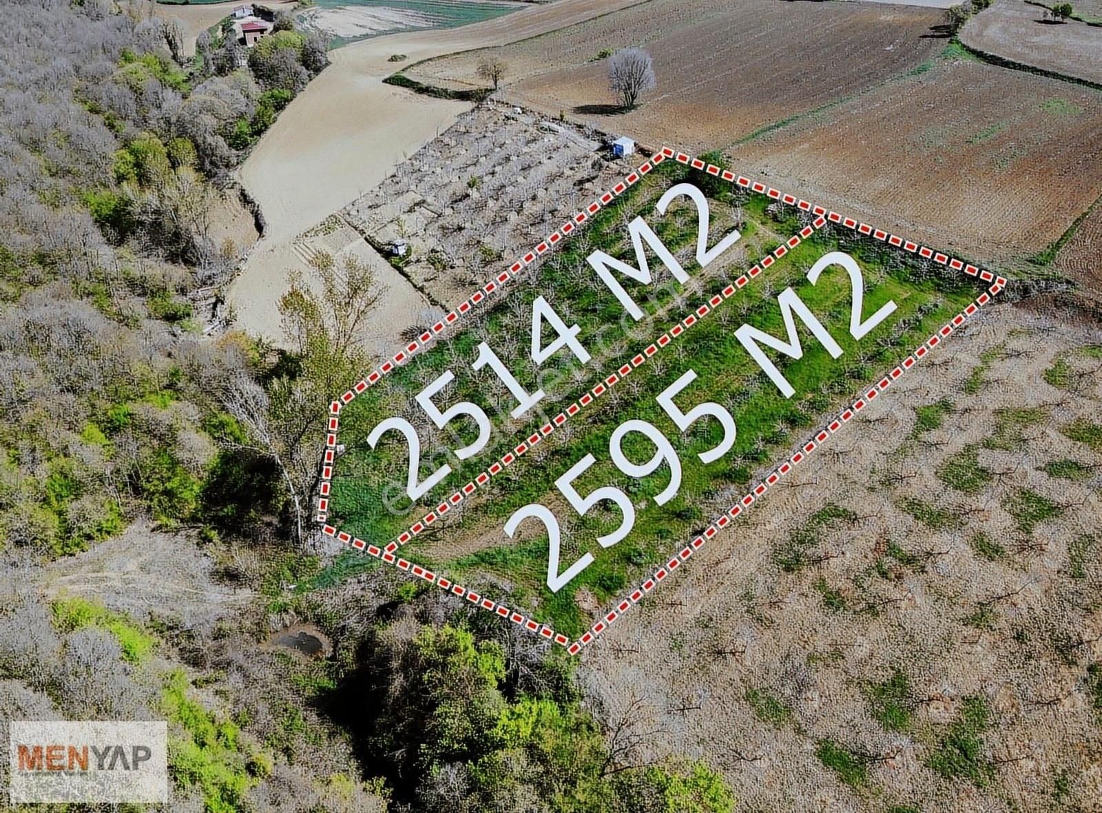 Tekirdağ Süleymanpaşa Hacıköy'de 5.110 Mt2 Cevizlik