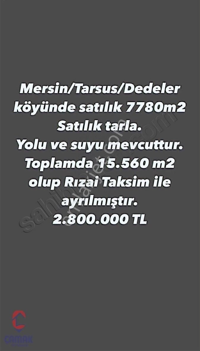Tarsusta Eshabı Kehf Civarı Satılık Yolu Olan Tarla
