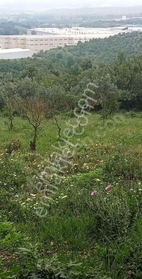 Bursa Nulufer Hasanagada 1 Derece Yatirimlik Arazi 3700m (21) +