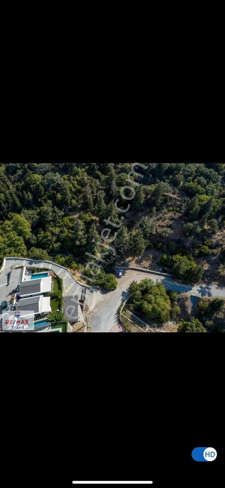 Tarla Vasfında