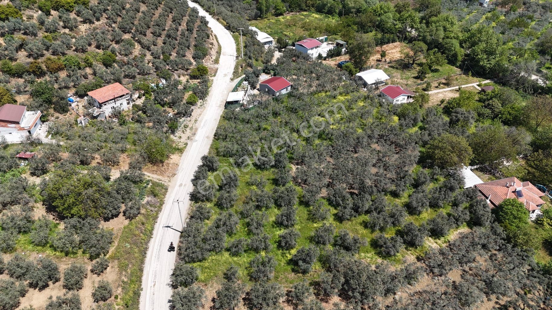 Kumla Konak Emlak’tan Asfalta Sıfır Bahçe - Görsel 9