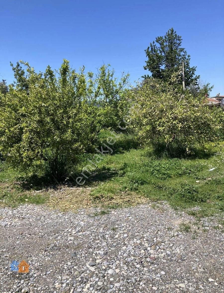 Acil Satılık Arsa