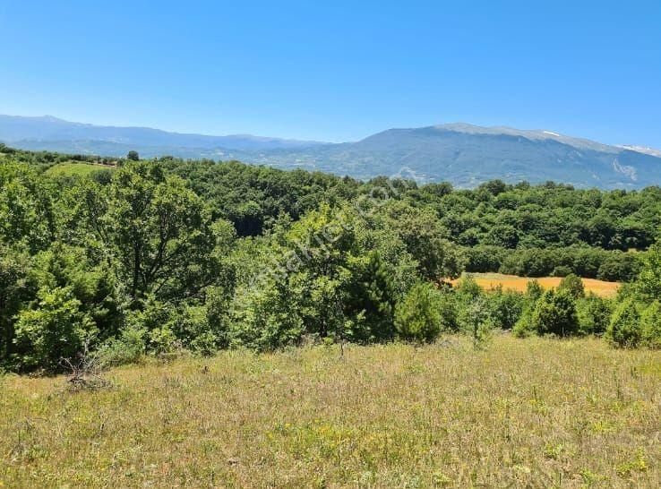 Bursa İnegol Halaca 3.500 Metre (23) +