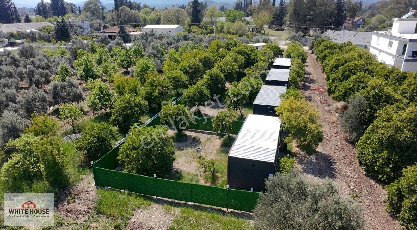 Bahtılı Bölgesi 300 M2 Portakal Ağaçları İçinde 1+1