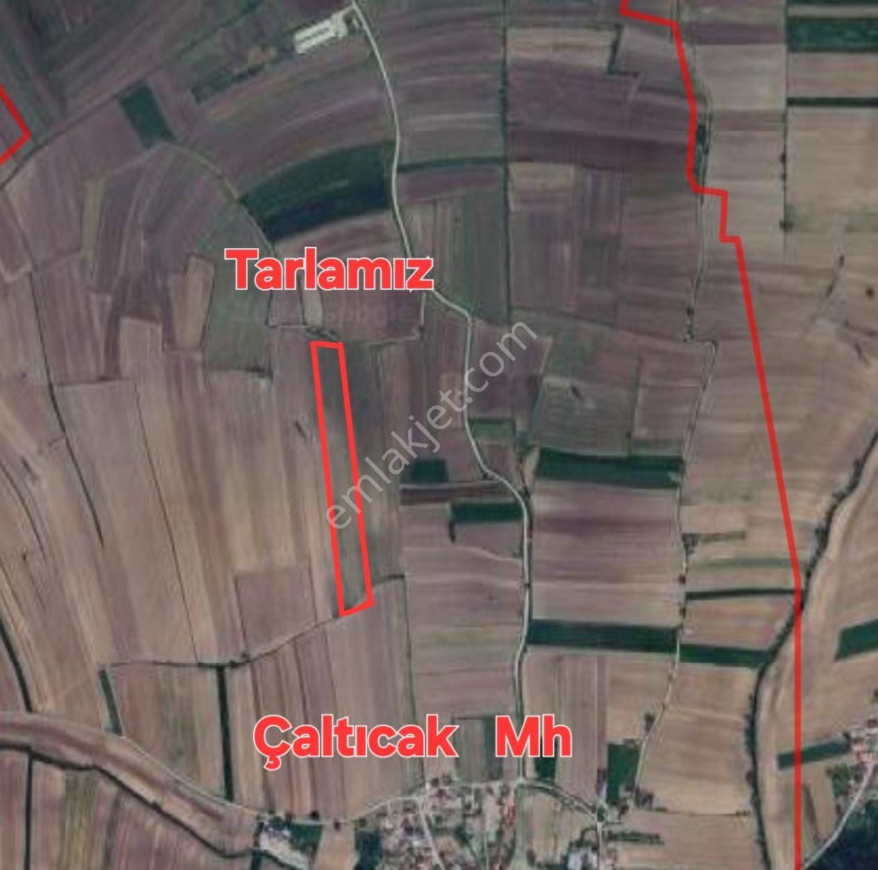 Sahibinden Satılık Kelepir Fiyat Tarla