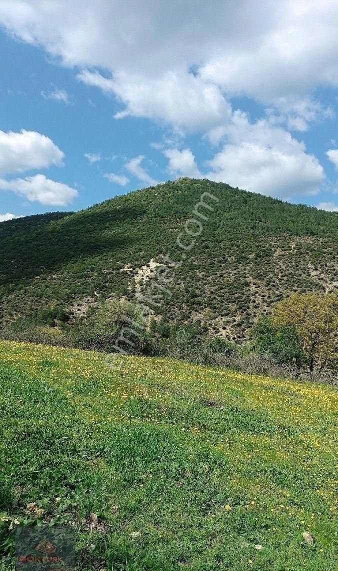 Bir Arsa Fiyatına İki Arsa