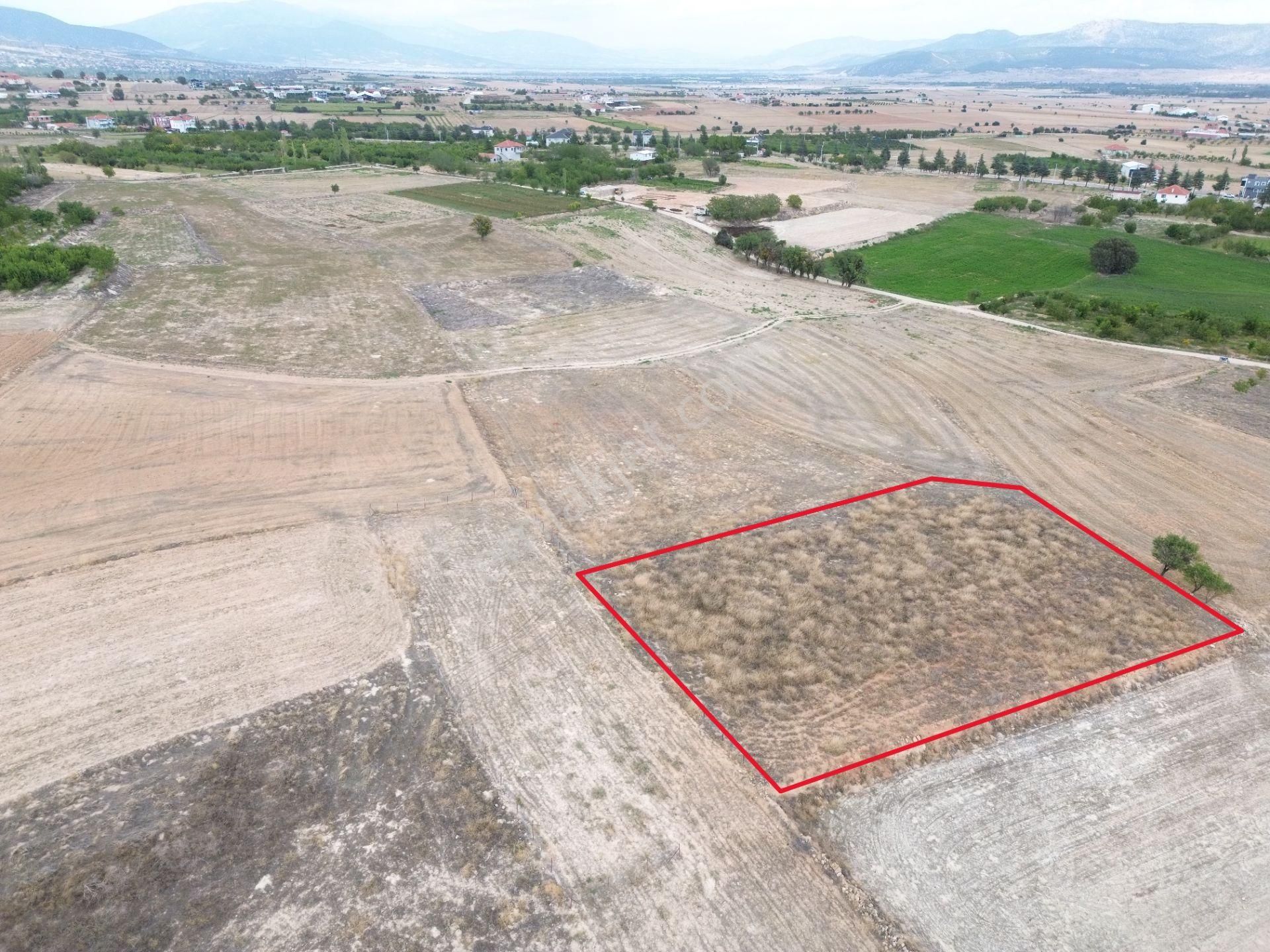 Yeltende 2038 M2 Doğal Teras Manzaralı Tarla - Görsel 5