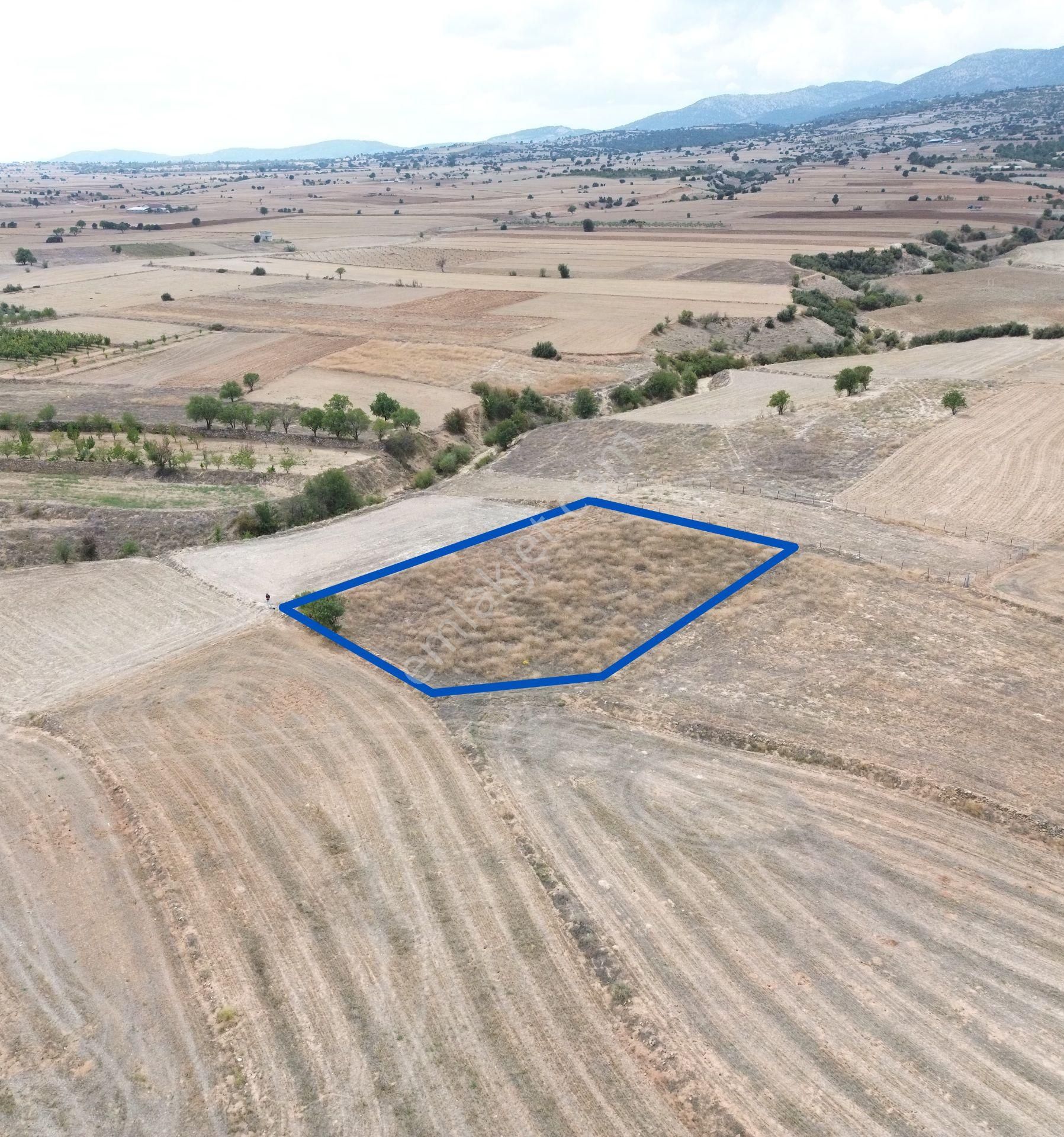 Yeltende 2038 M2 Doğal Teras Manzaralı Tarla - Görsel 15