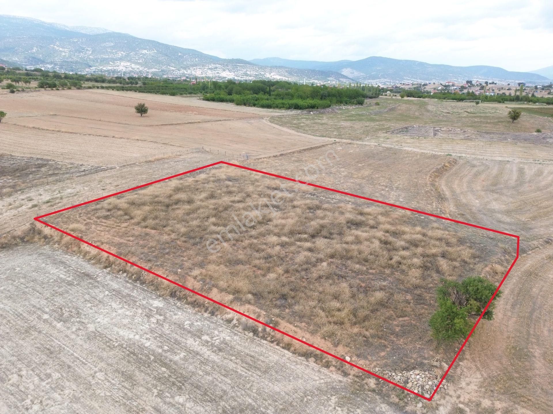 Yeltende 2038 M2 Doğal Teras Manzaralı Tarla - Görsel 3