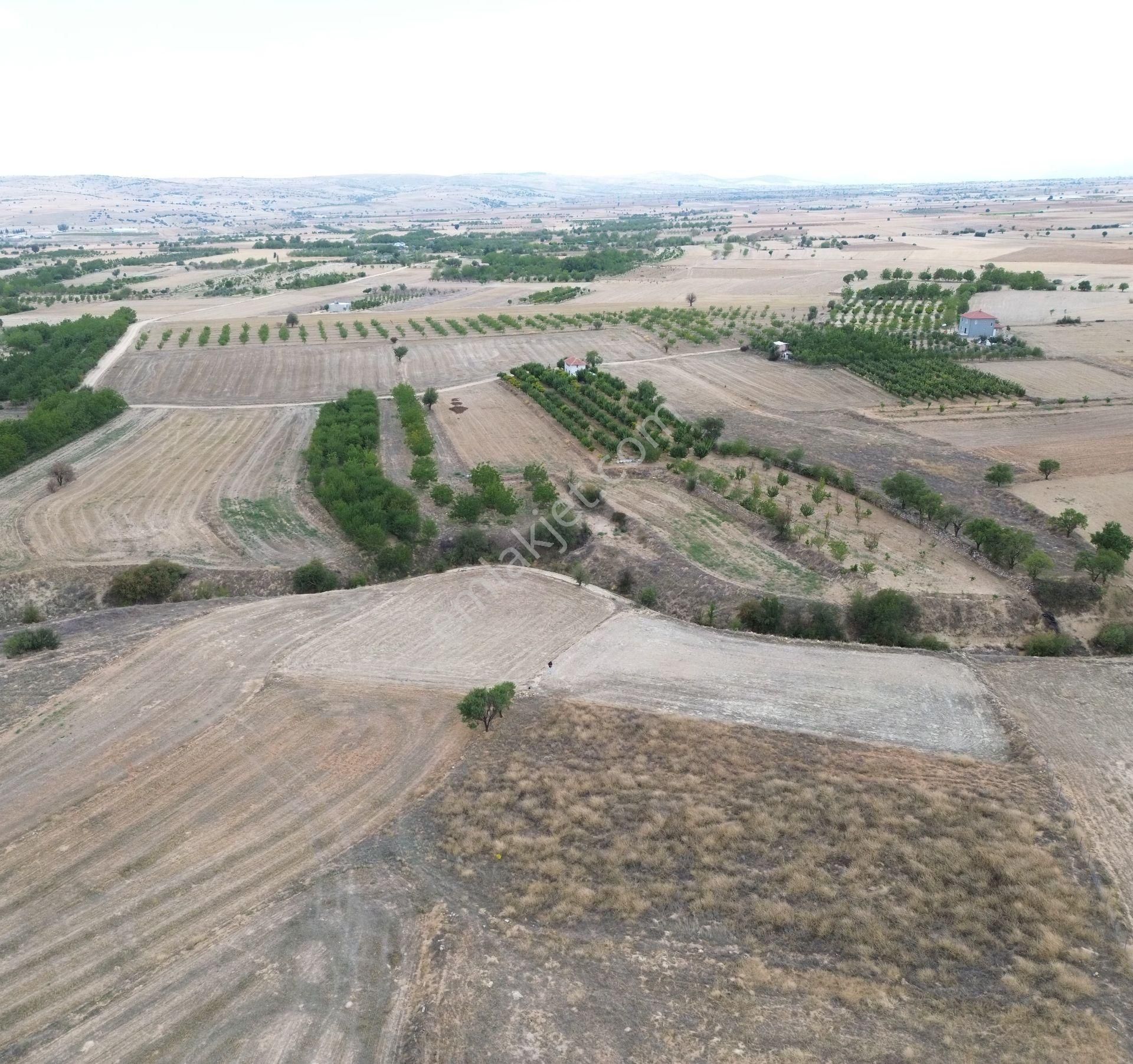 Yeltende 2038 M2 Doğal Teras Manzaralı Tarla - Görsel 11