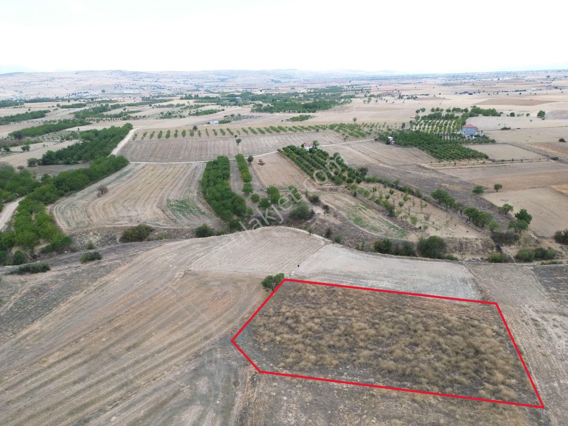 Yeltende 2038 M2 Doğal Teras Manzaralı Tarla - Görsel 6