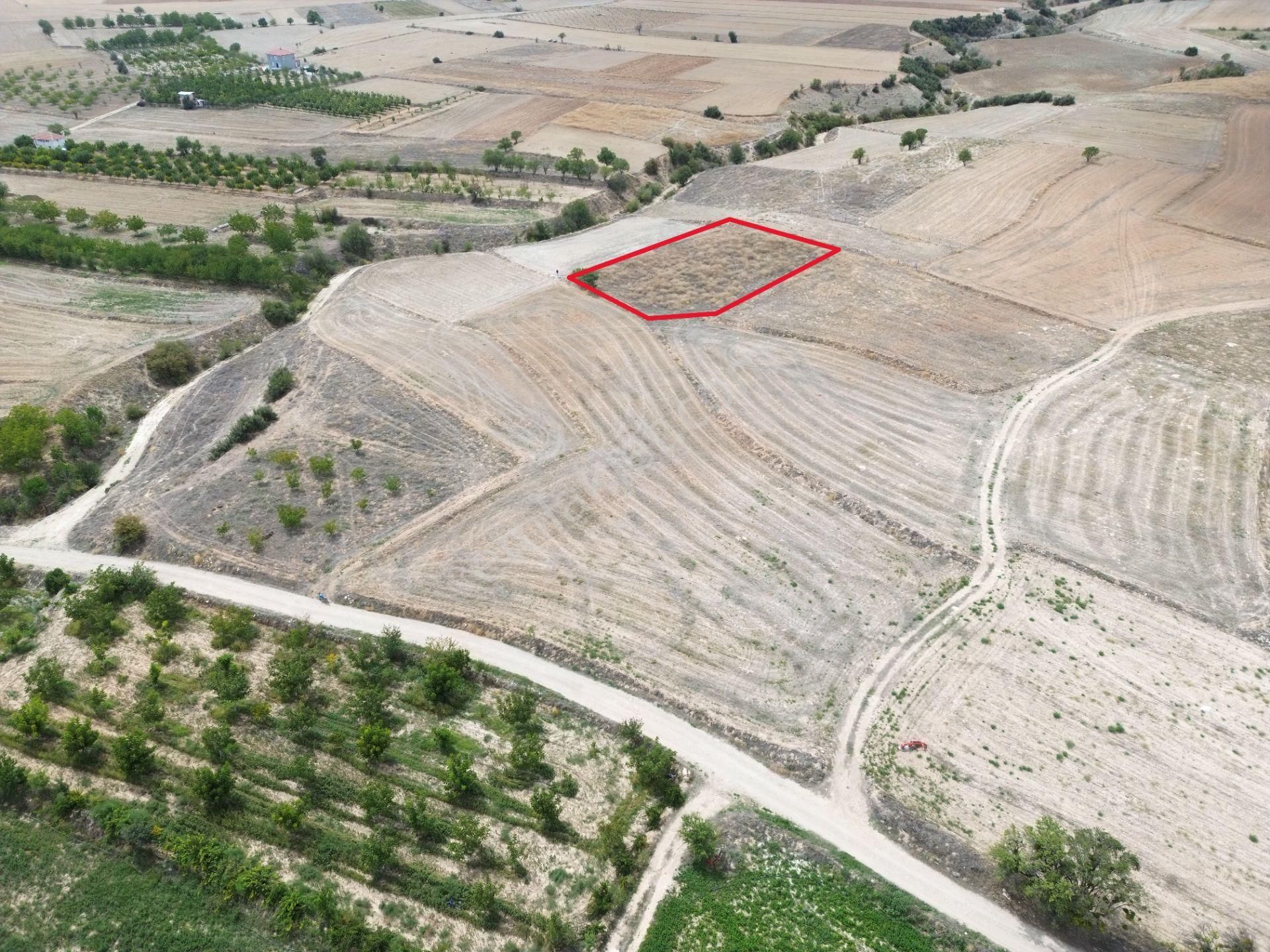 Yeltende 2038 M2 Doğal Teras Manzaralı Tarla - Görsel 4