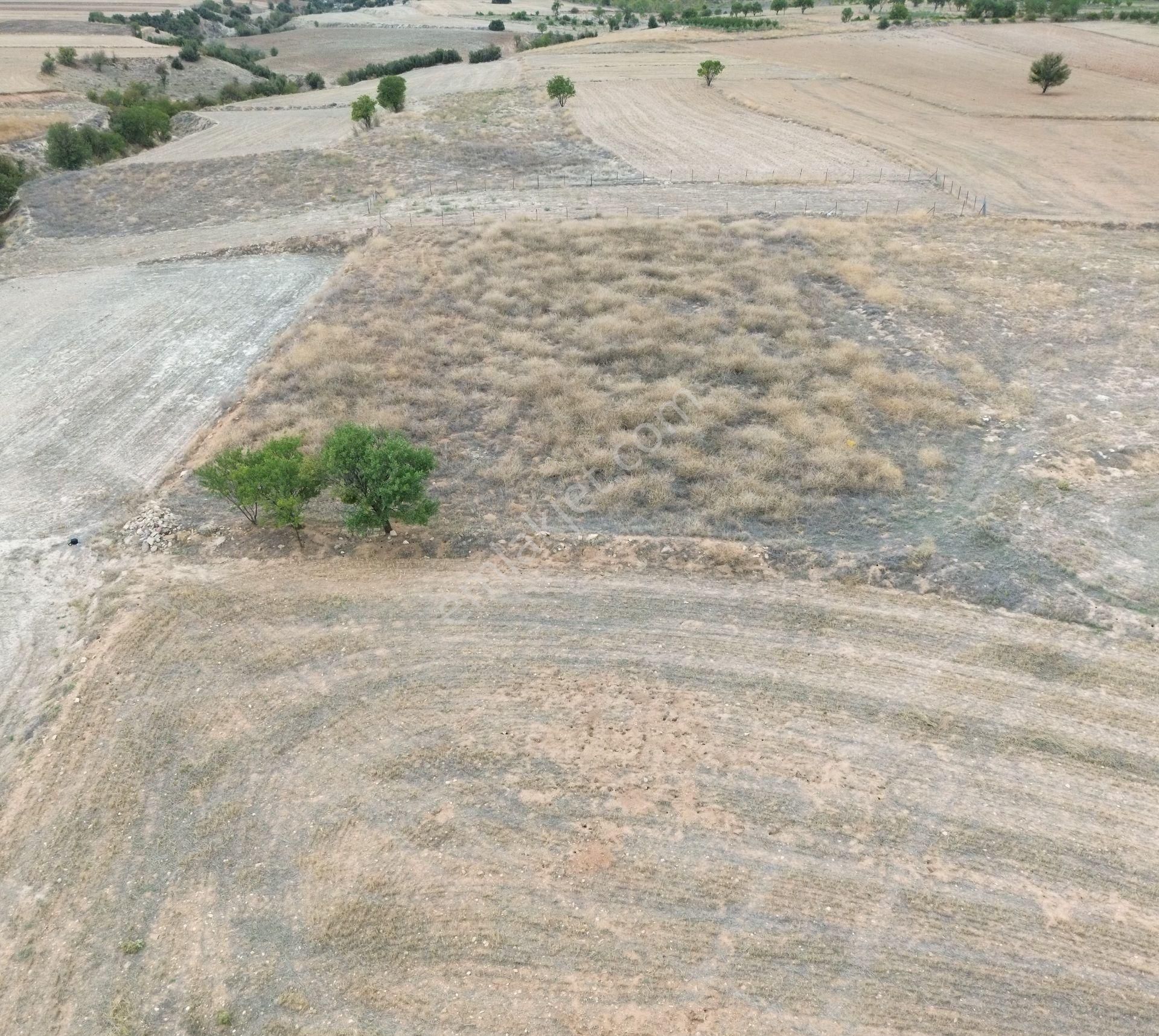Yeltende 2038 M2 Doğal Teras Manzaralı Tarla - Görsel 16
