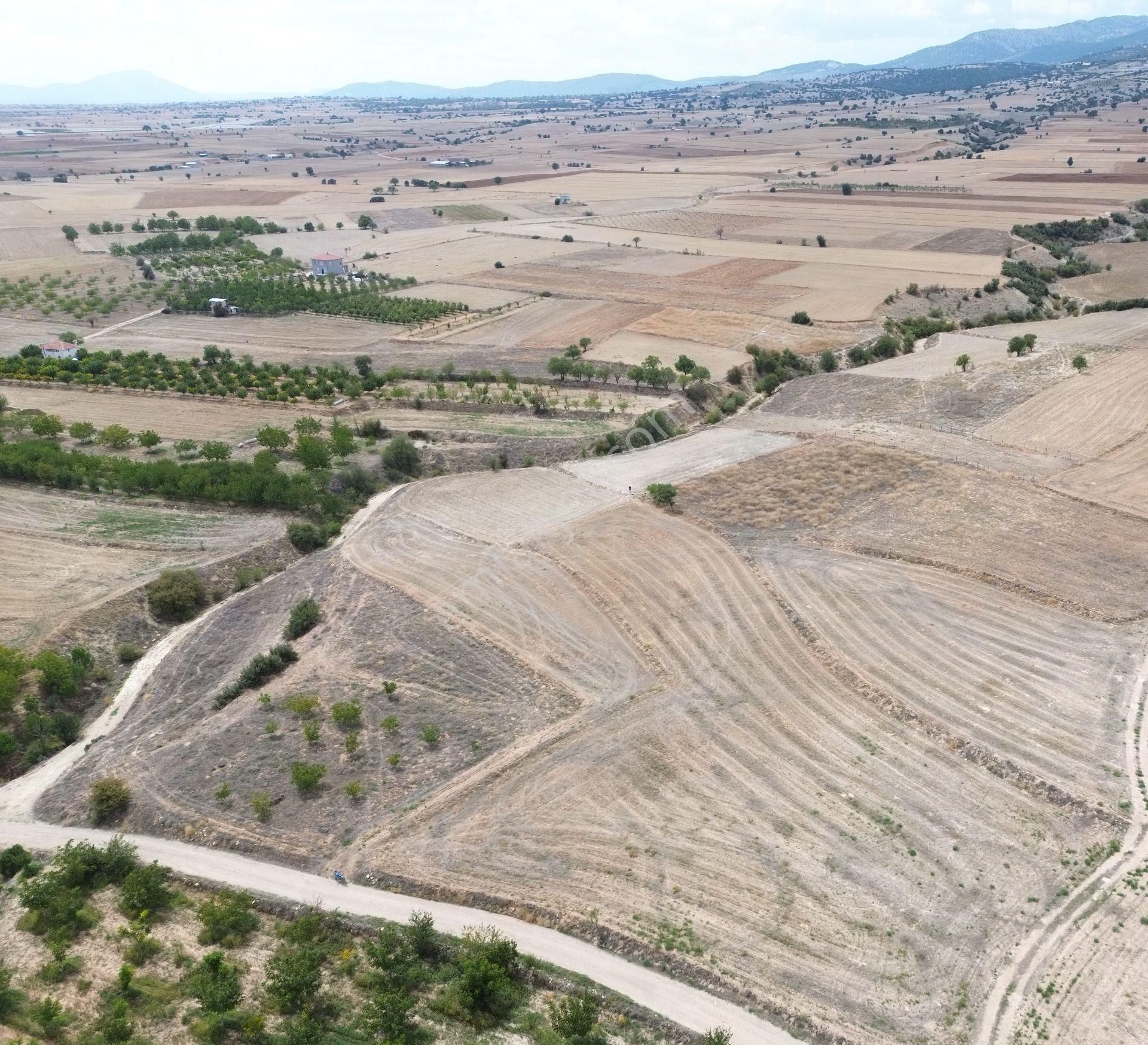 Yeltende 2038 M2 Doğal Teras Manzaralı Tarla - Görsel 13