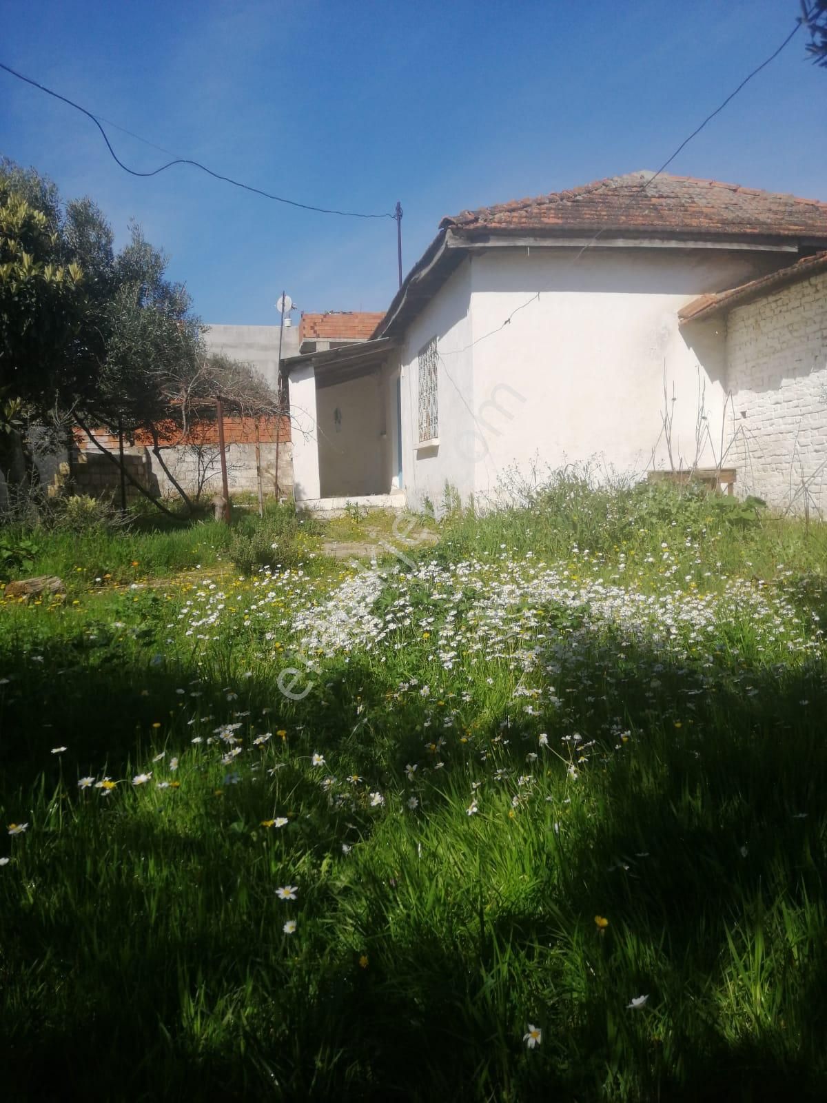 Torbalı Emlak'tan Torbalı Kuşçuburun Mah. 715 M2 Arsa İçinde Keripç Ev Ve Damı Satılıktır.
