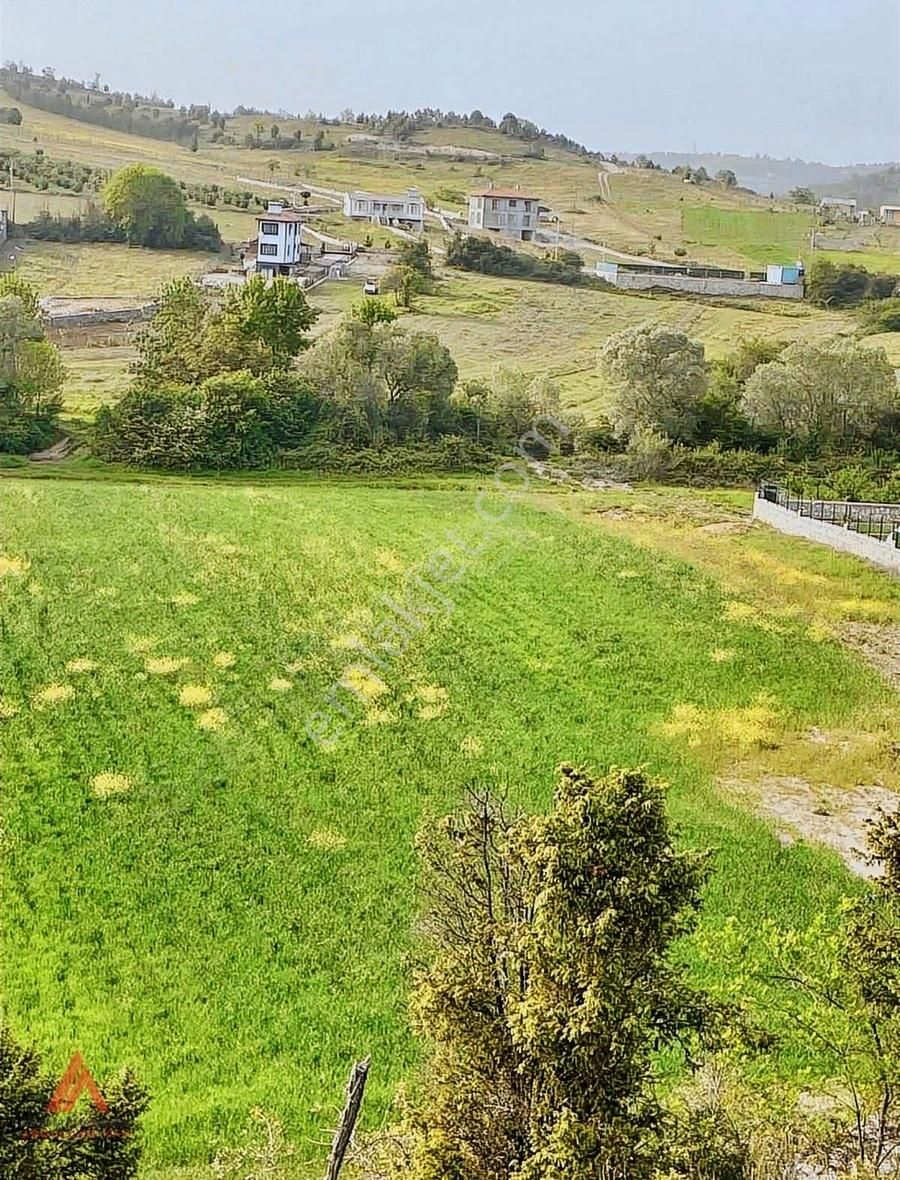 Kandıra Yağcılar Yola Cepheli Ağva'ya 5dk 2.150,00₺