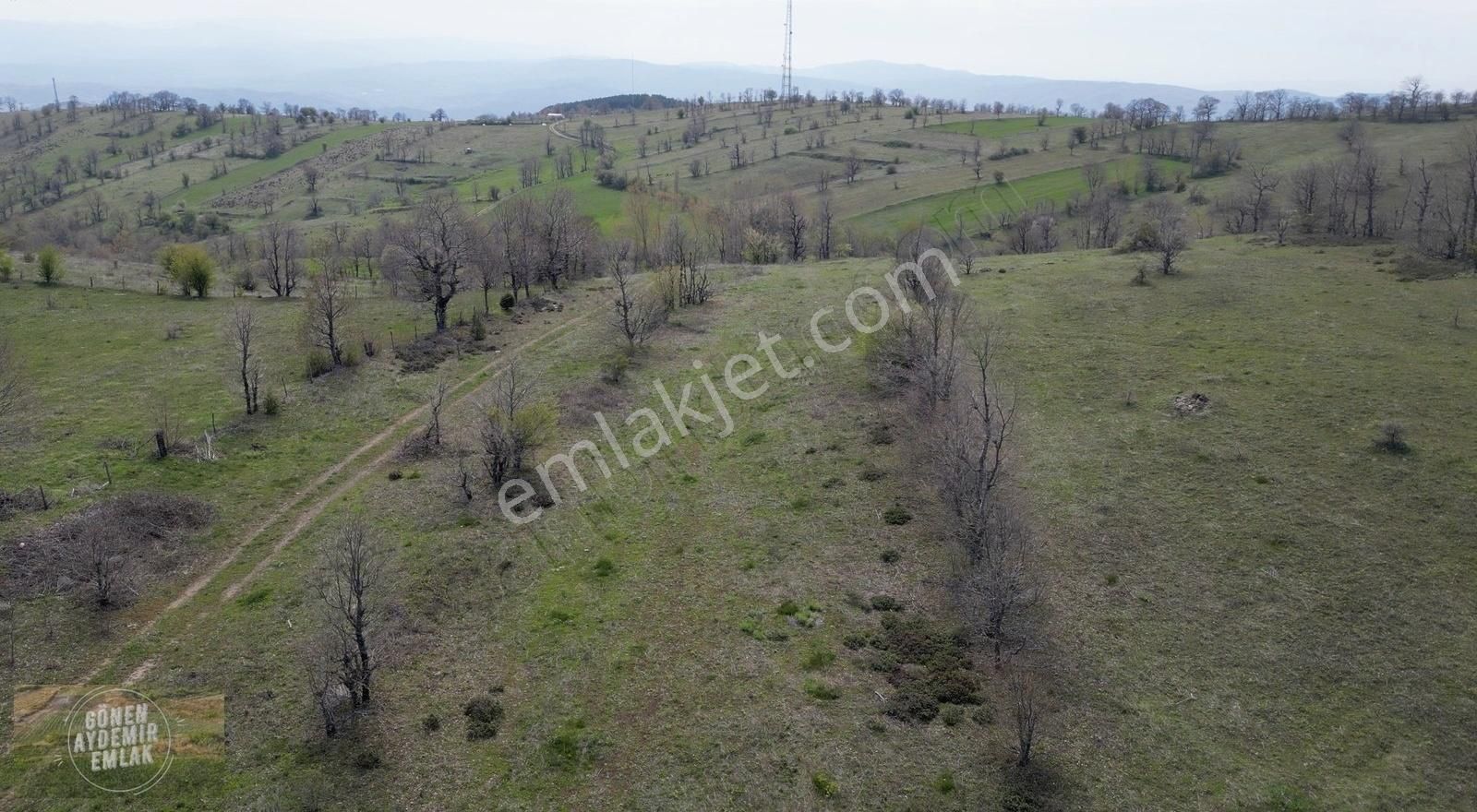 Yenice Karadoru Köyü Ormana Cephe 3.210 M2 Tarla