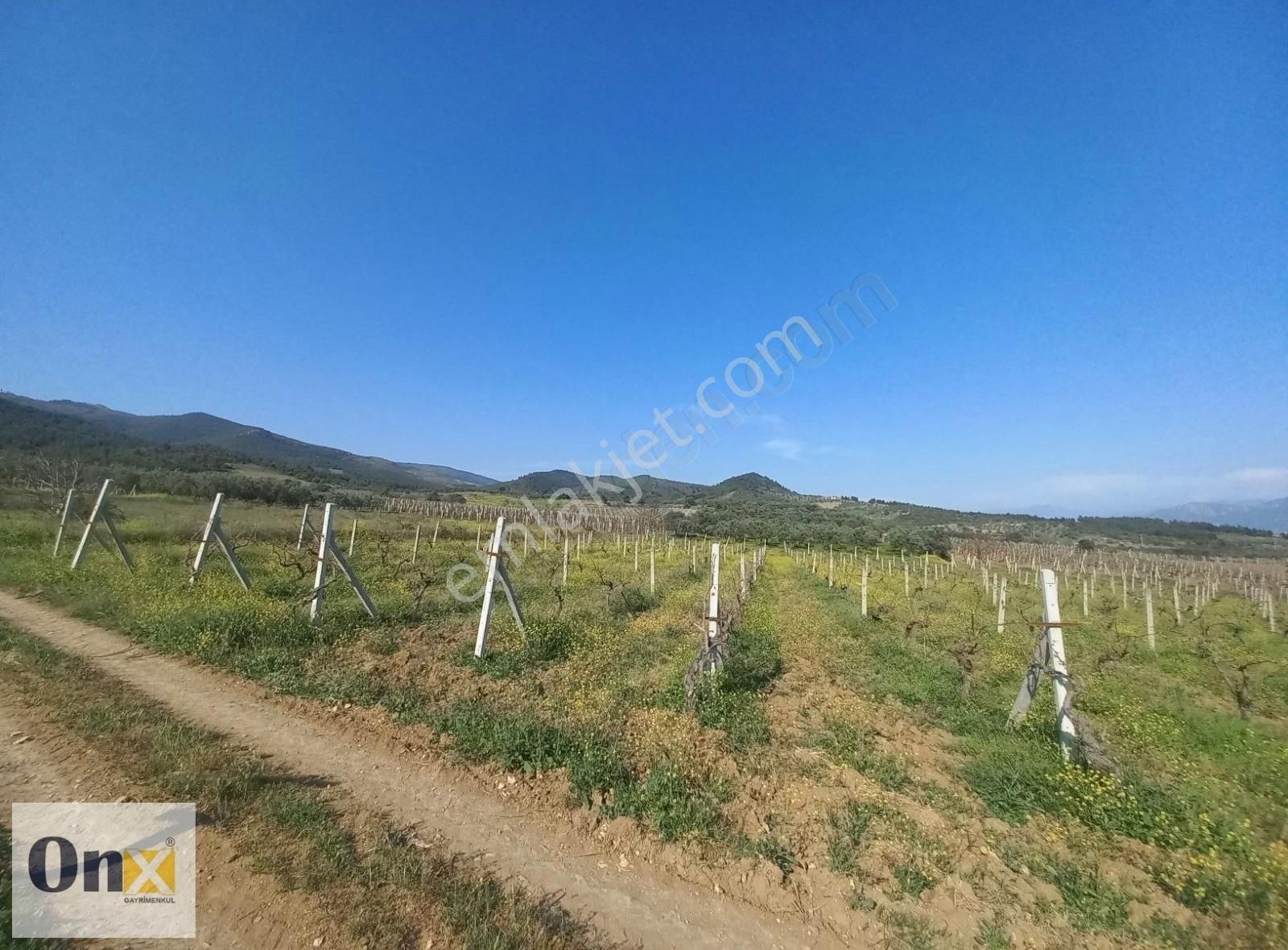 Satılık Bağ 7.376m² Flamingo Çiftliği Ne Komşu