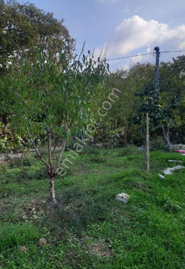 Bursa Osman Gazi İsmetiye 225 İmarli Arsa (27)+