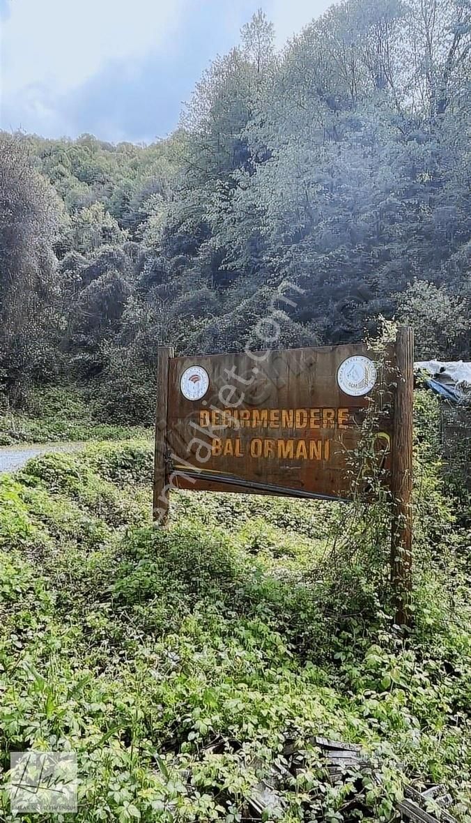 Değirmendere'de Tek Tapu Ultra Yatırım Fırsatı Arazi...