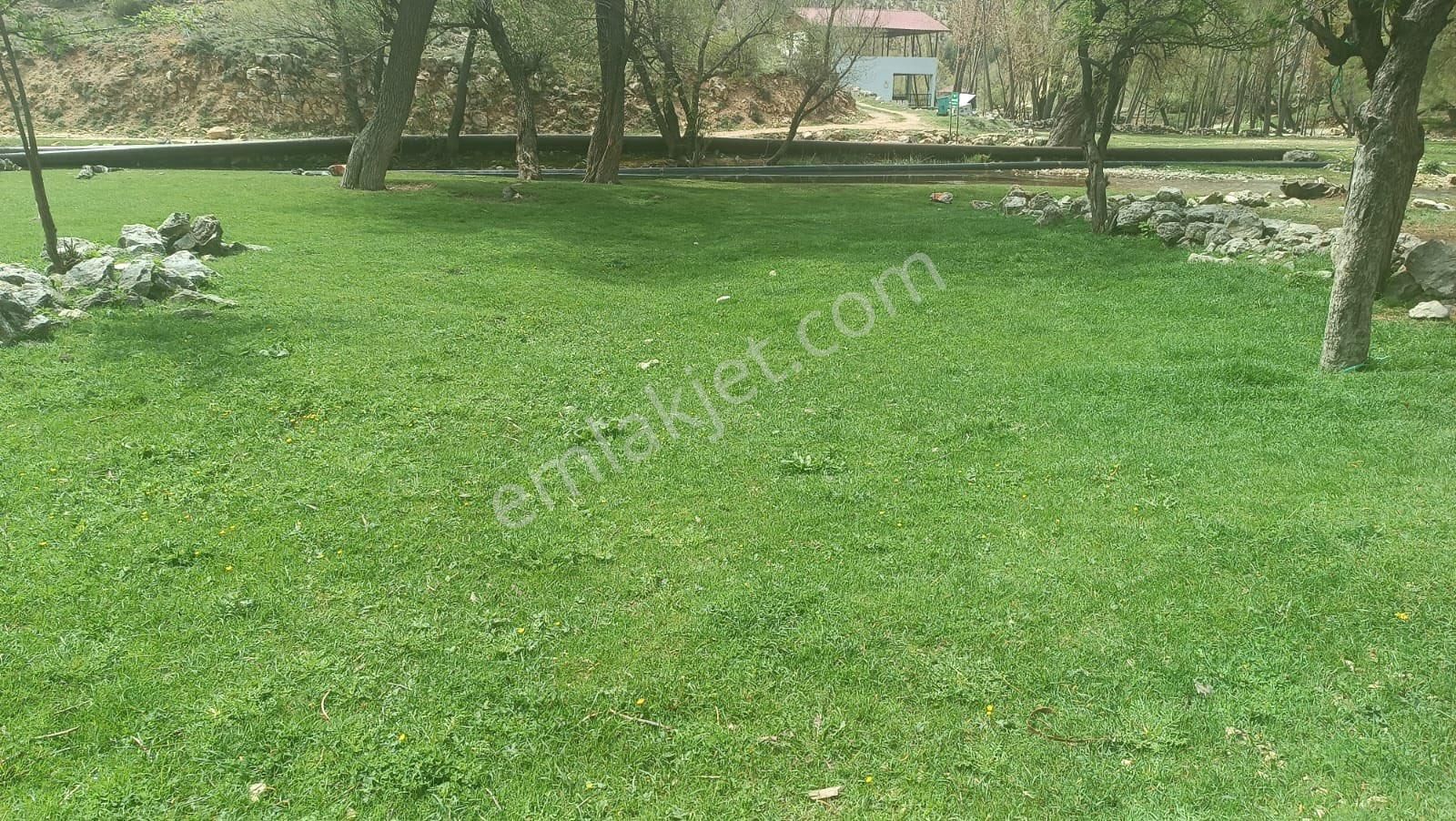 Türe Gayrimenkulden Silifke Saraydın Yaylasında Suya Sıfır Köy İçi Arsa Satılık