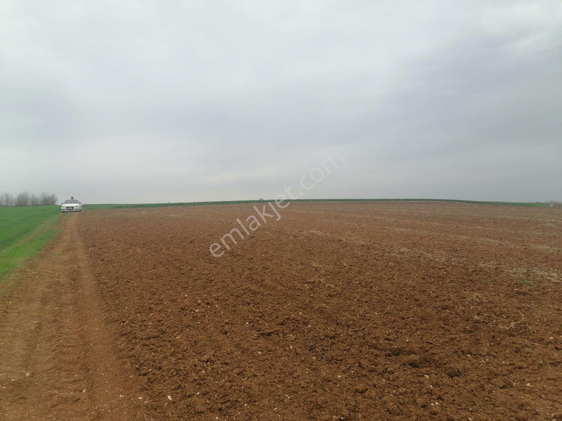 Kavaklı Merkeze Yakın Resmi Yolu Mevcut 7300 M2 Tarla - Görsel 6