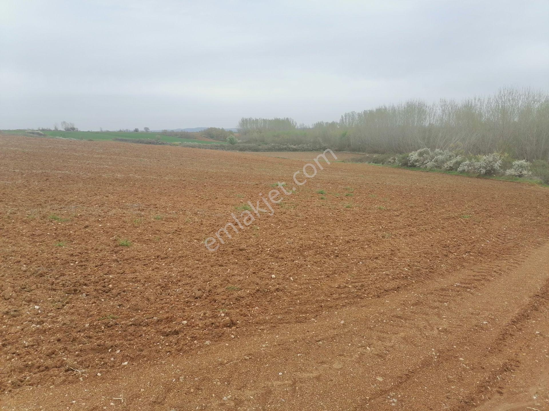 Kavaklı Merkeze Yakın Resmi Yolu Mevcut 7300 M2 Tarla - Görsel 12