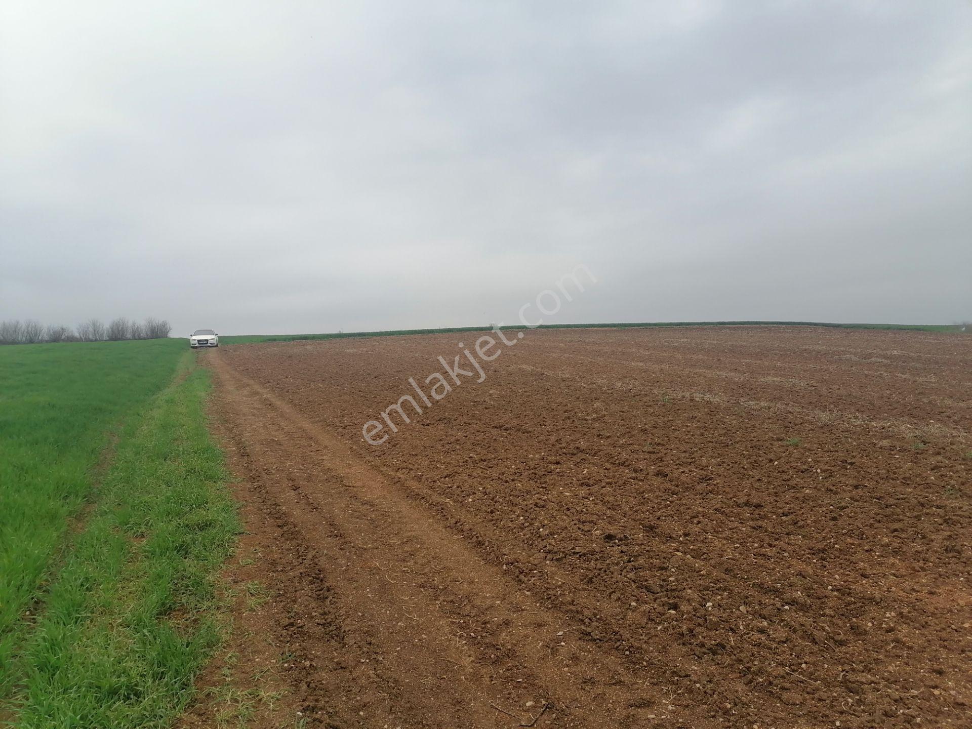 Kavaklı Merkeze Yakın Resmi Yolu Mevcut 7300 M2 Tarla - Görsel 9