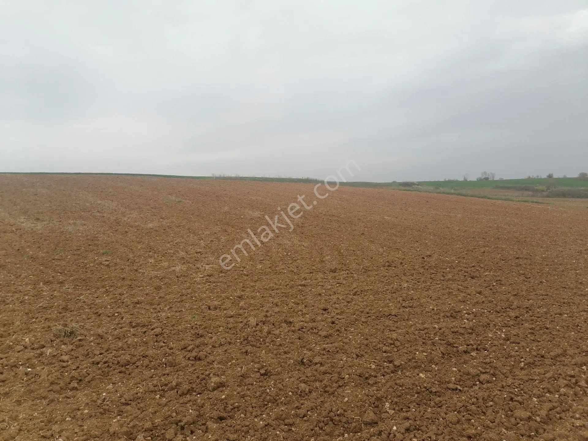 Kavaklı Merkeze Yakın Resmi Yolu Mevcut 7300 M2 Tarla - Görsel 5