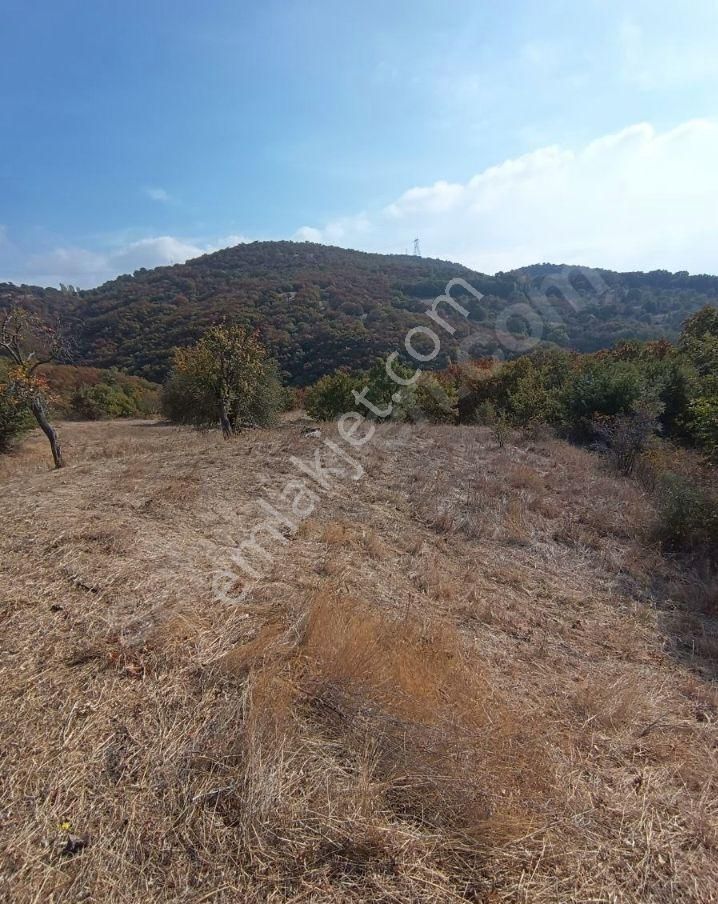 Bursa Kestel Kozlu Oren Koyu 8 Hiseliyatirimlik Arazi 4889 M (28) +