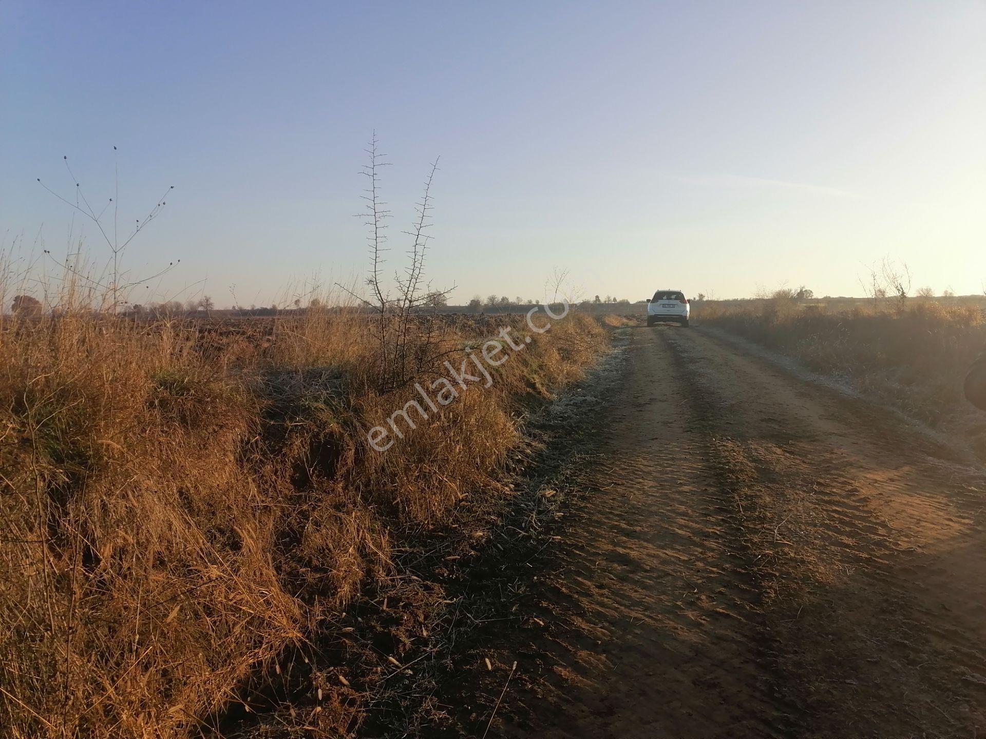 Paşayeri Köyü Koyunbaba Yoluna Cephe 3500 M2 Satılık Tarla - Görsel 4