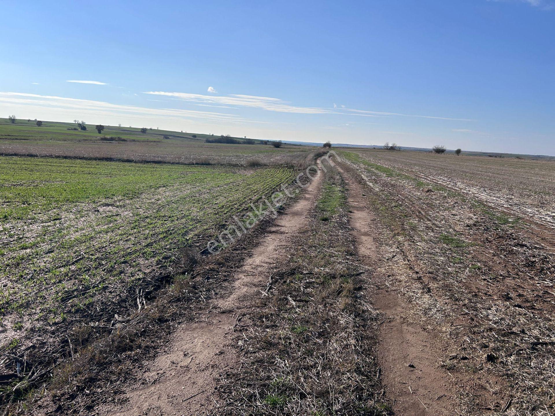 Ürünlü'de Köye Asfalta Yakın Resmi Yolu Var 2500m2 Satılık Tarla - Görsel 9