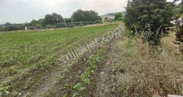 Bursa Nulufer Karaca Obada İzmiryoluna Cepe 2000 M (29) +