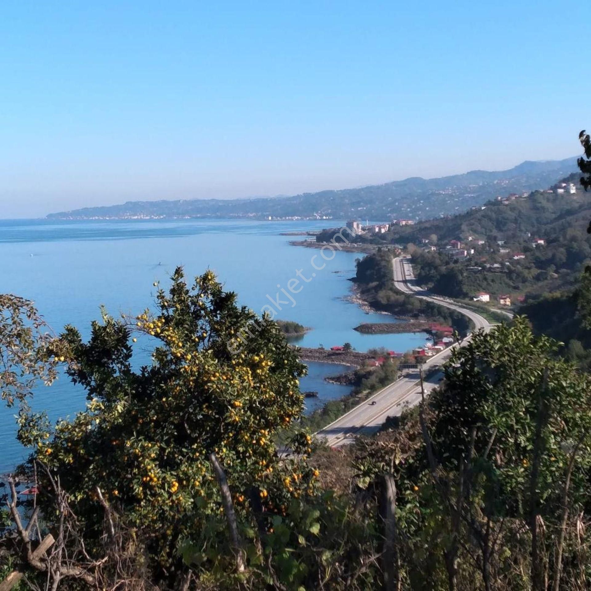 Muhteşem Konum Ve Manzara / Otobana,denize Ve Plajlara Çok Yakın