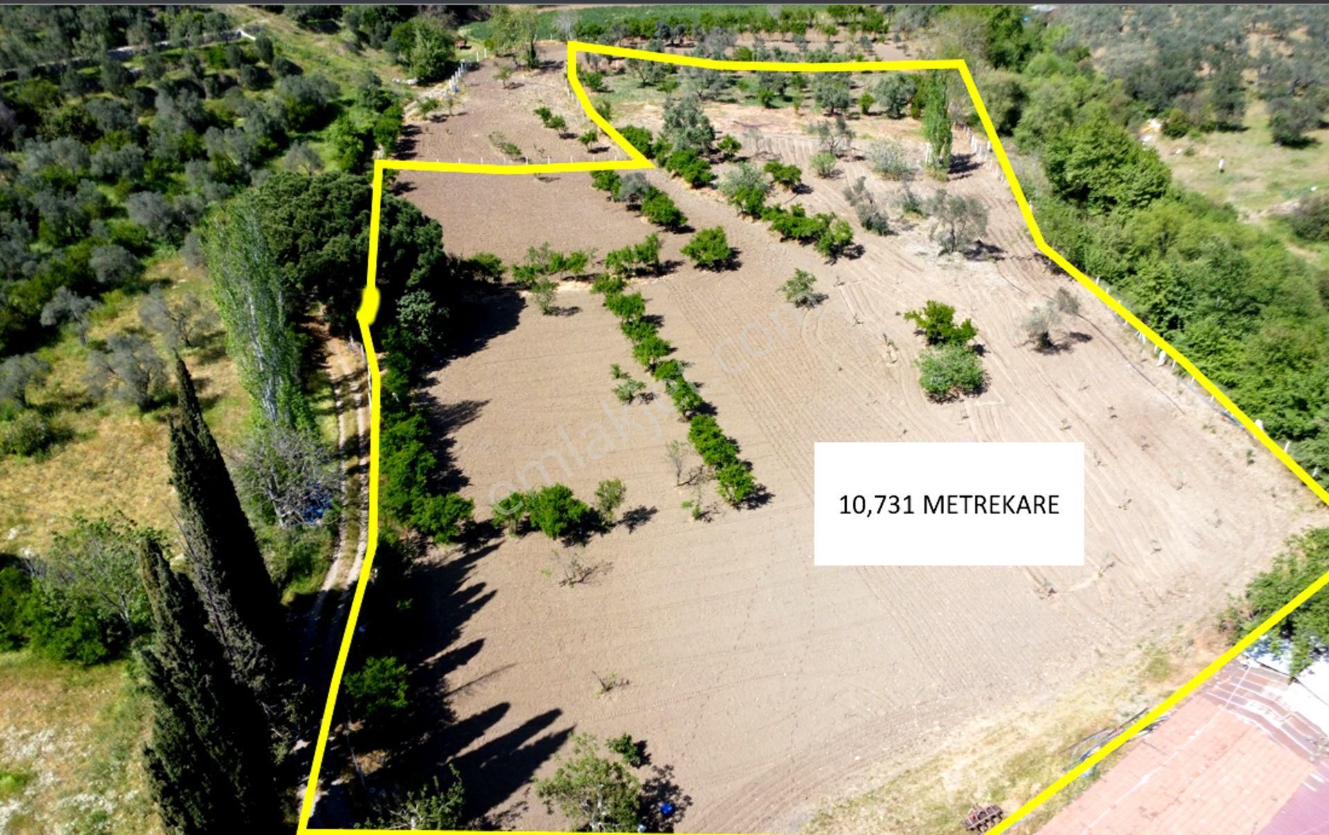 Rw Nefes'ten Havran'da 10.700 M2 Zeytinlik Ve Meyve Bahçesi