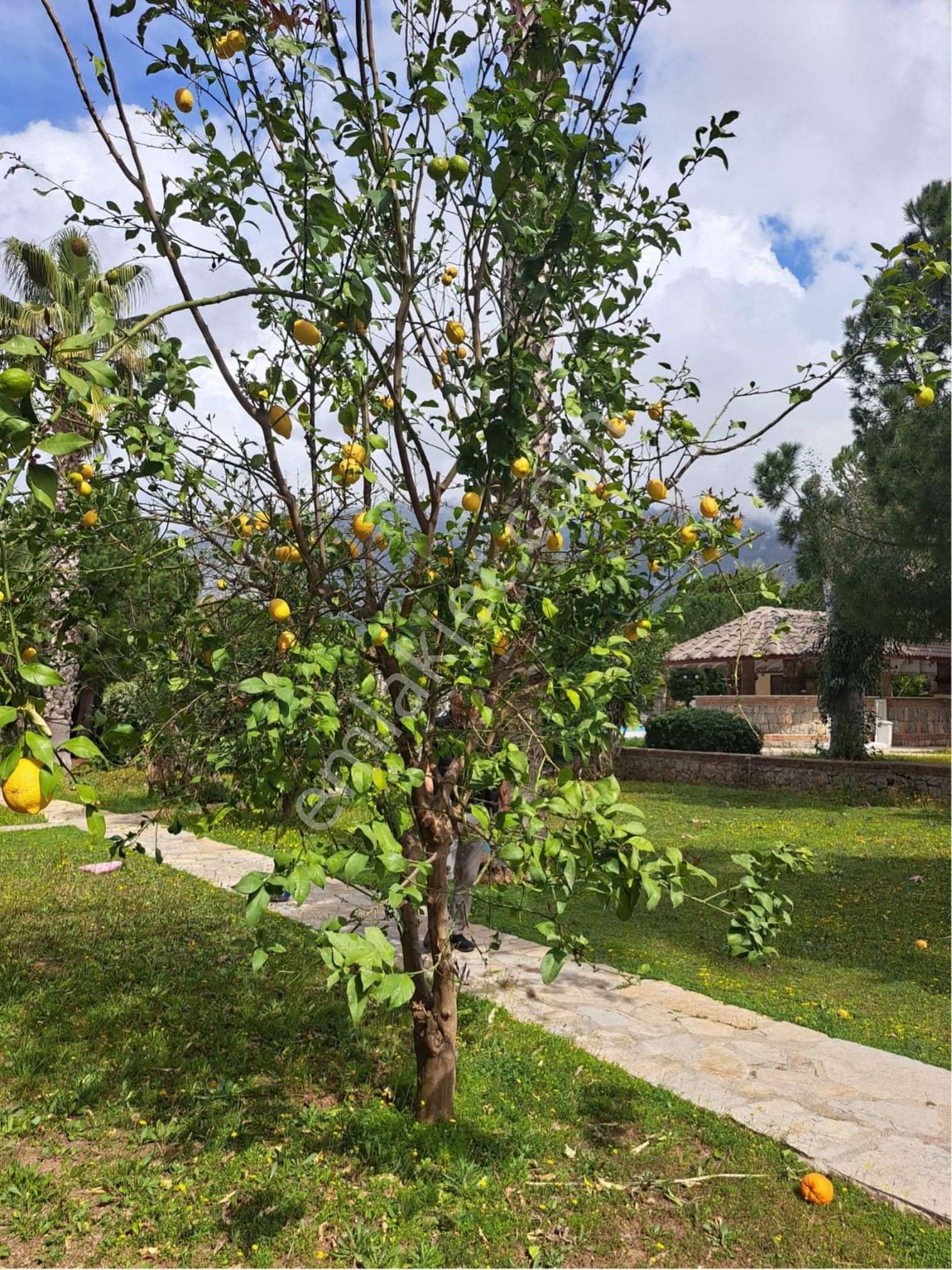 Fethiye Hisarönü 2+1 Bahçe Katı Havuzlu Satılık Daire - Görsel 19