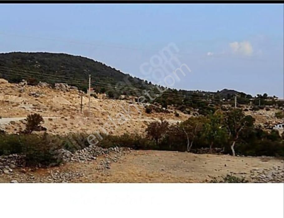 Stop’tan Köy İçi İmarlı Tek Tapu
