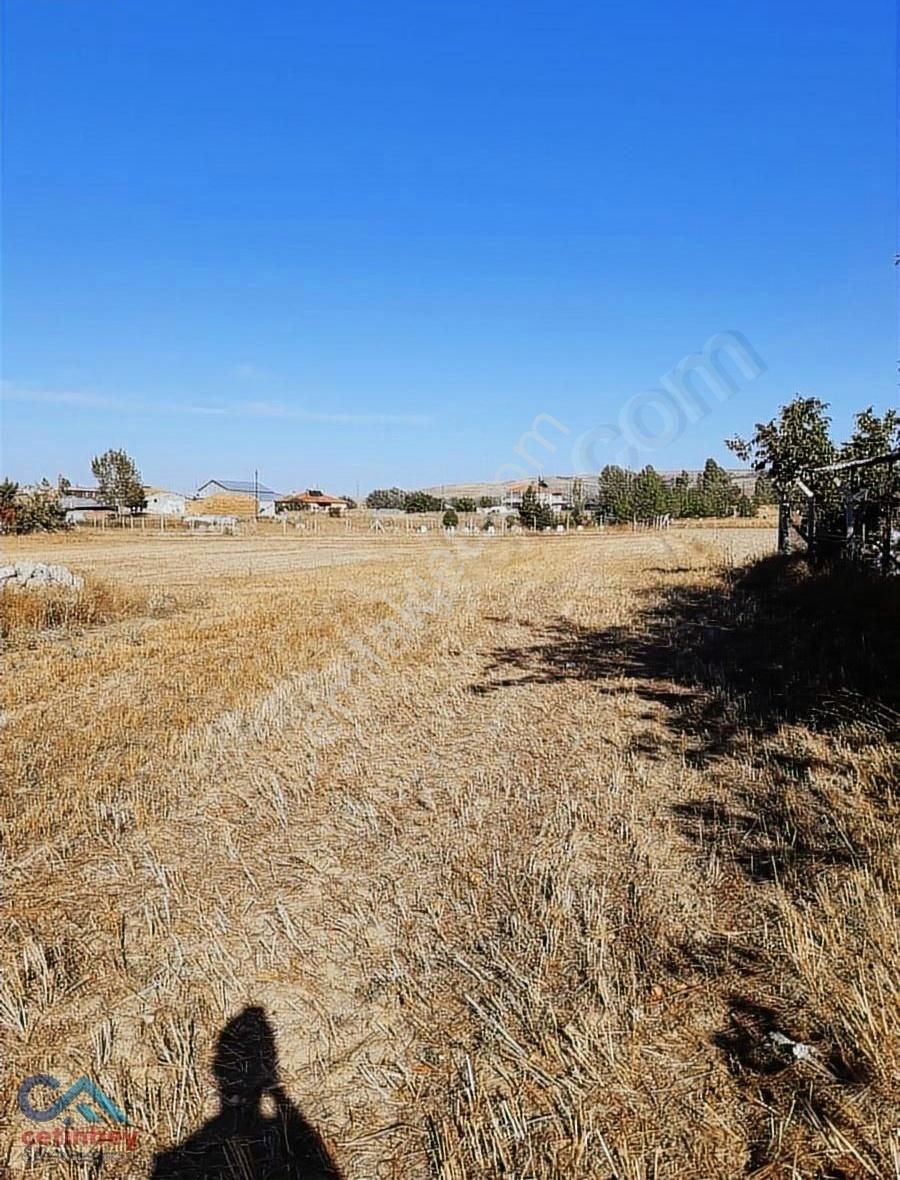 Çubuk Taşpınarda 2.300 M2 Köy İçi Tek Tapu Arsa