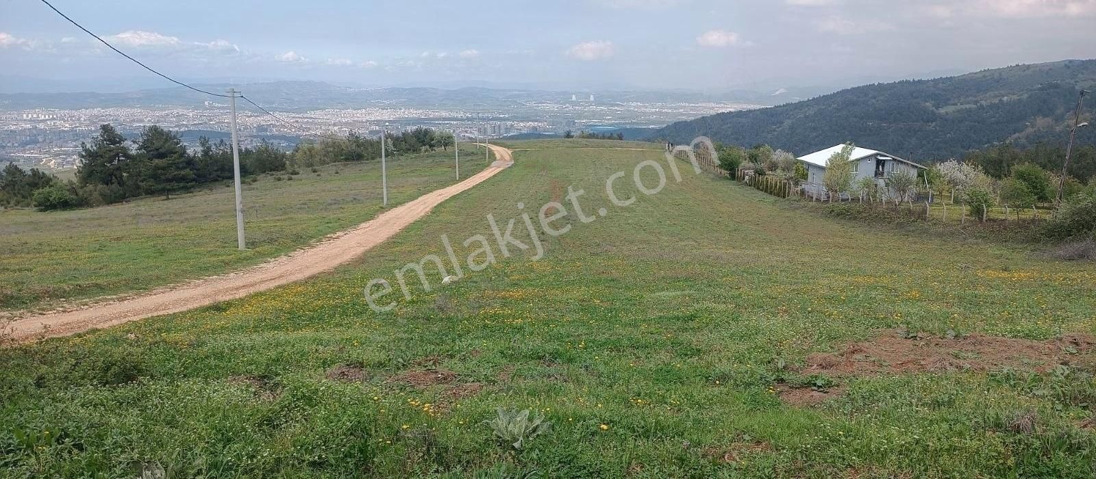 Dağyenice'de Panoramik Bursa Manzaralı Hisseli Tarla