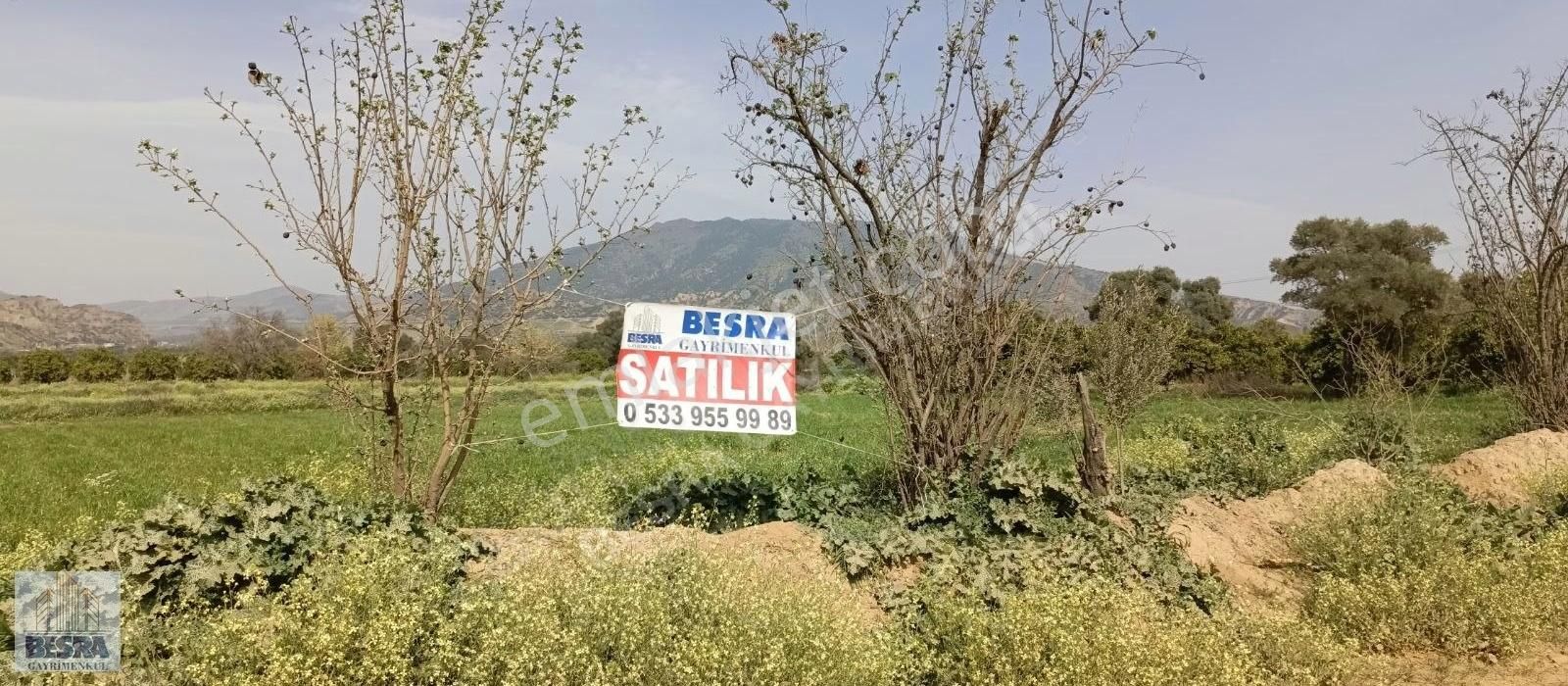 Aydın Nazilli Durasallı Mah. Satılık Yola Sıfır Bahçe