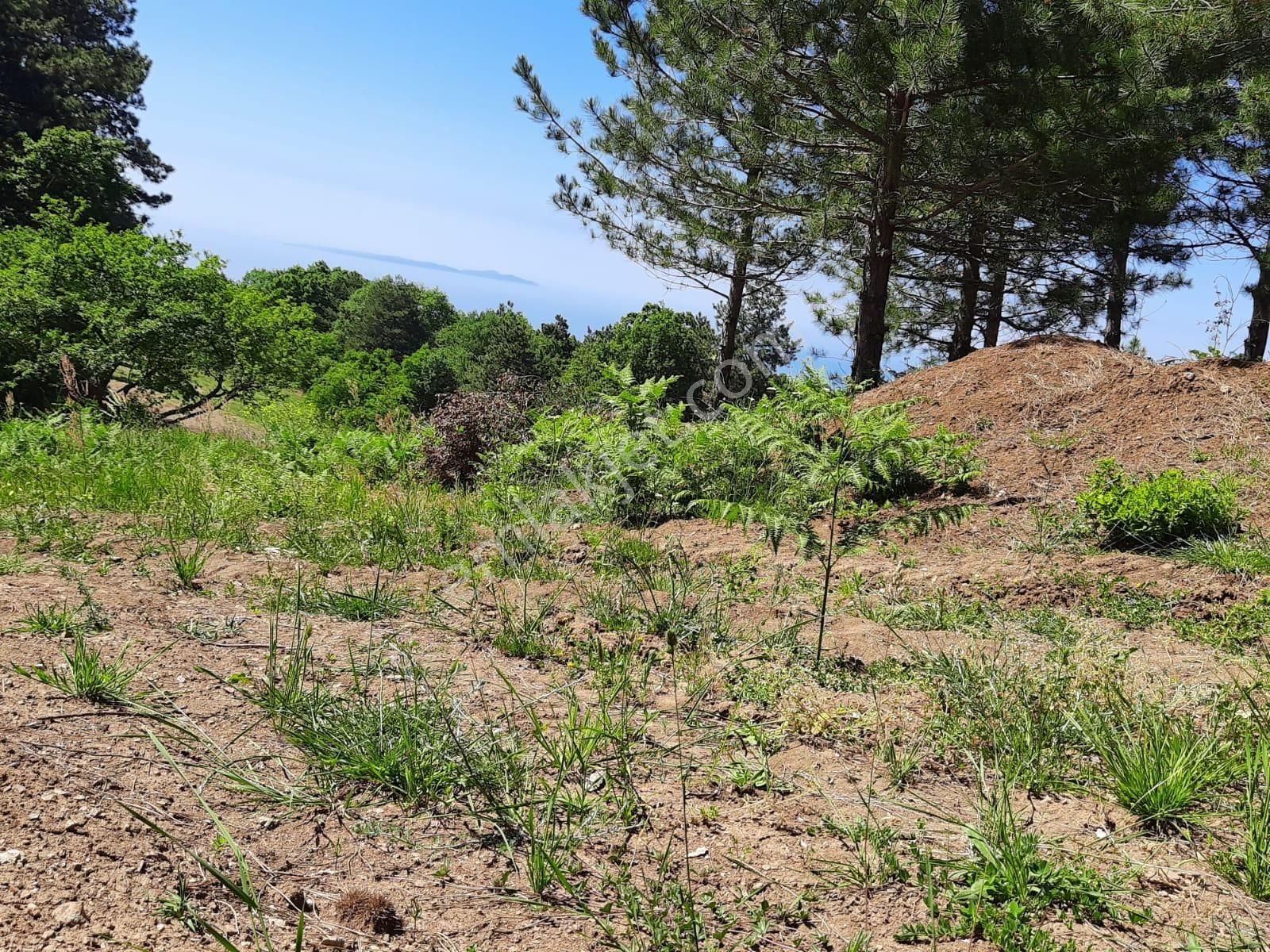 Bursa Mudanya Kumyakada 9640 Mmustakil Tapu Deniz Manzarali (31) +