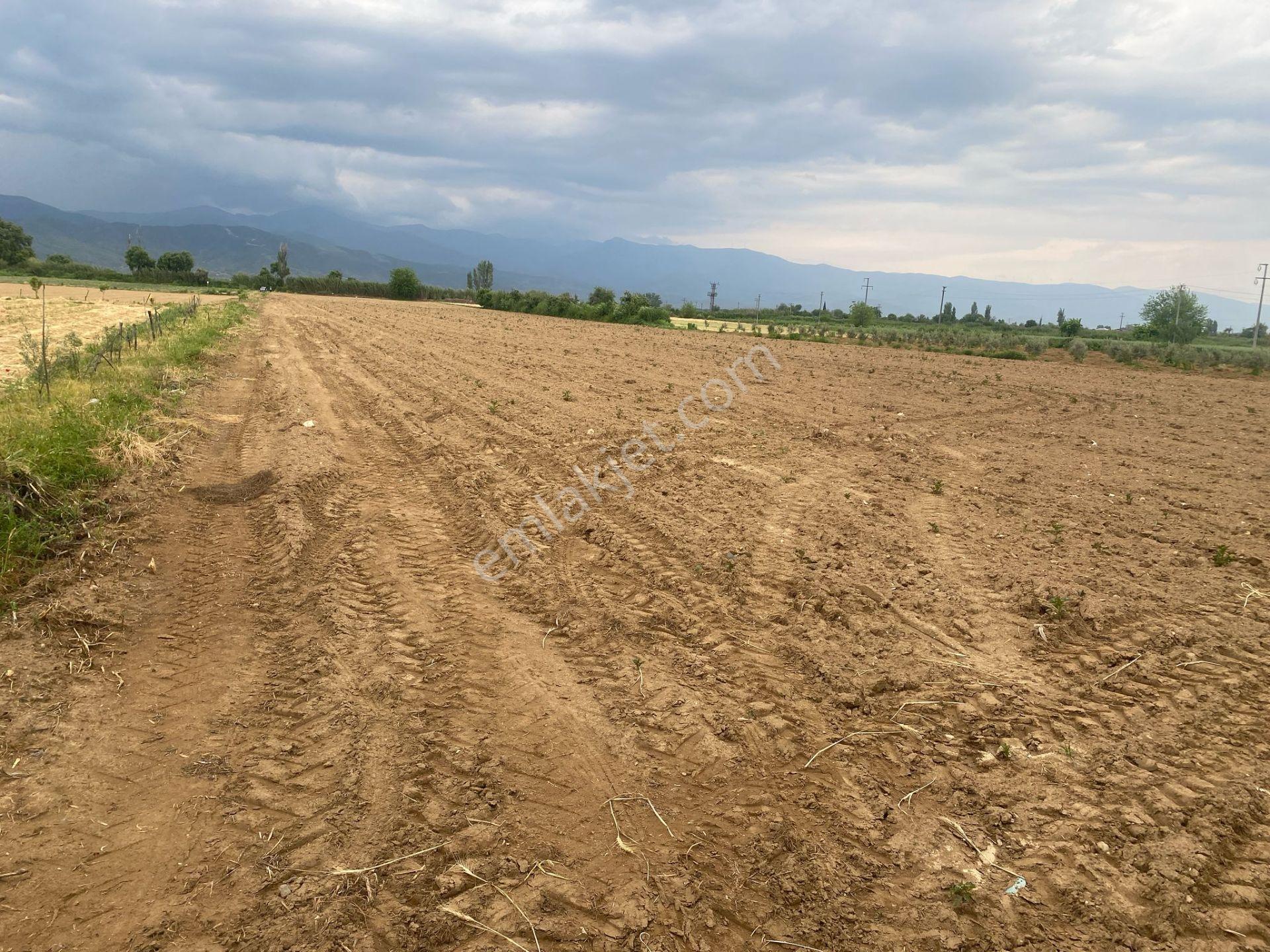Gülcü Gayrimenkulden Üçeylül Mahallesinde Her İki Tarafı Yol Olan Satılık Tarla - Görsel 11