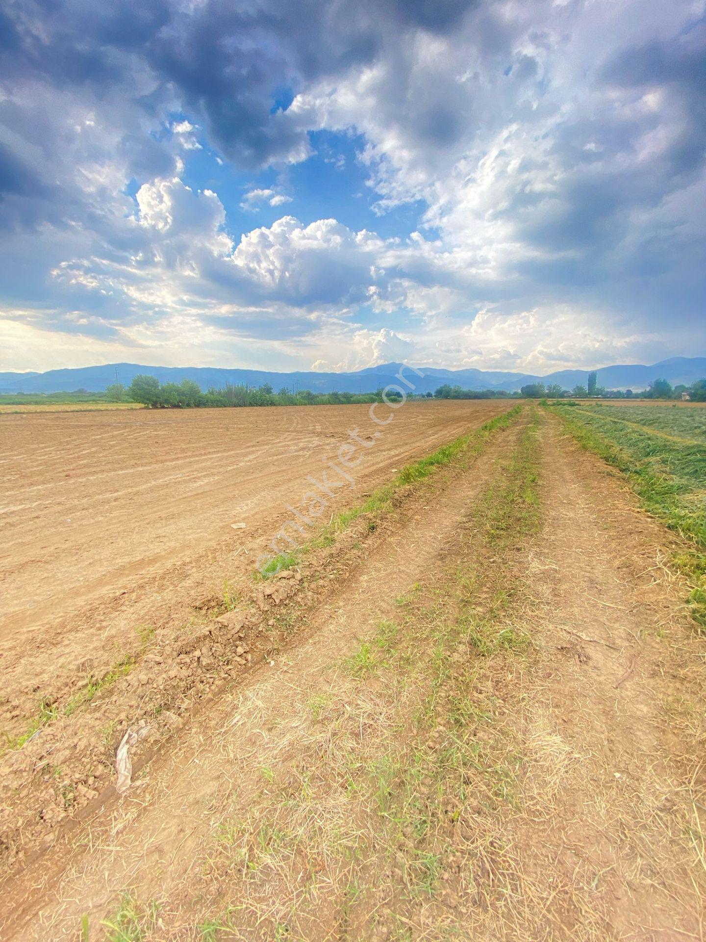 Gülcü Gayrimenkulden Üçeylül Mahallesinde Her İki Tarafı Yol Olan Satılık Tarla - Görsel 15