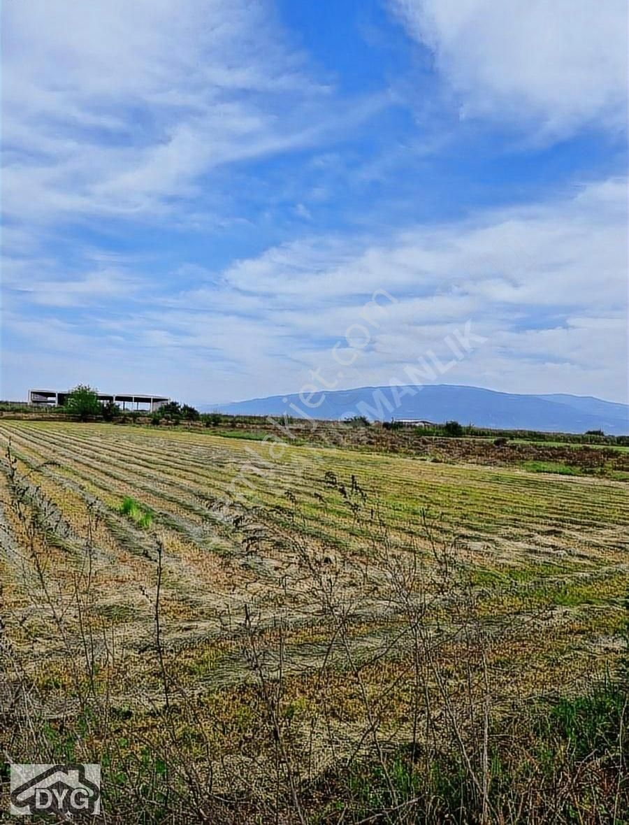 Acil Yatırımlık Arsa