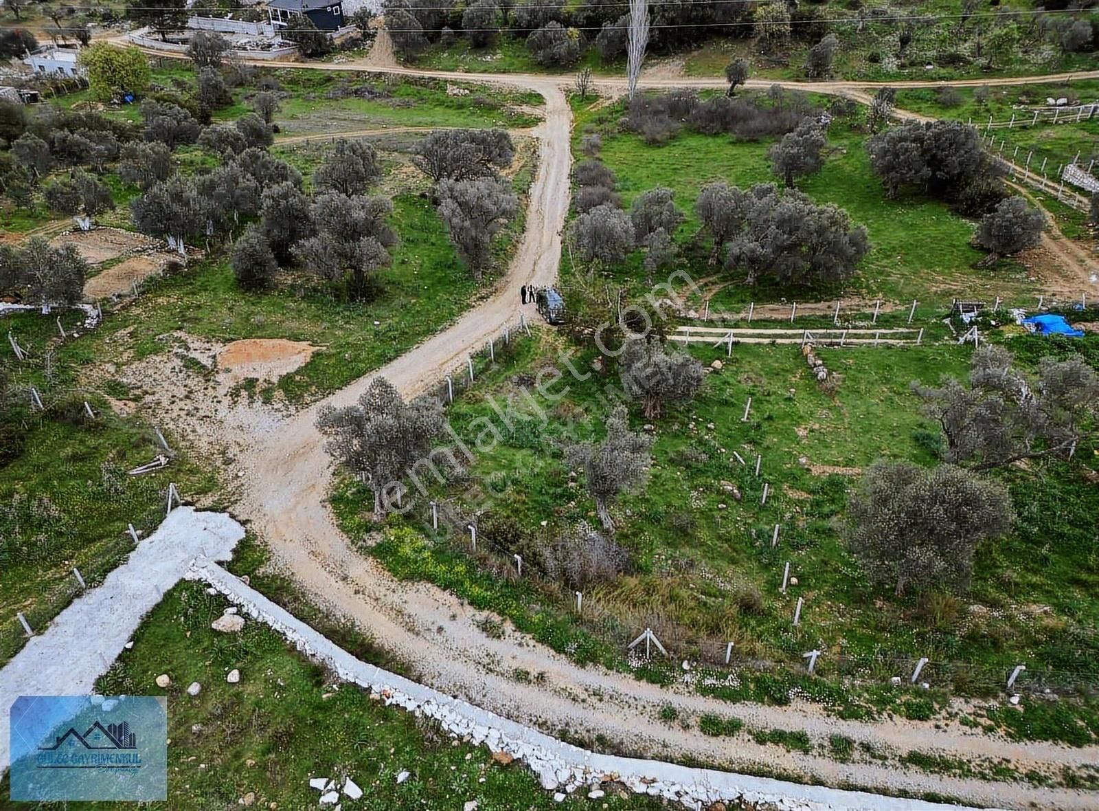 Menderes Akçaköyde Muhteşem Manzaralı 556 M2 Kök Hisse