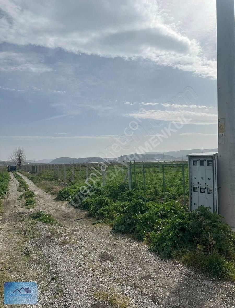 Menderes Tekelide 4.434 M2 Tek Tapulu Tarla