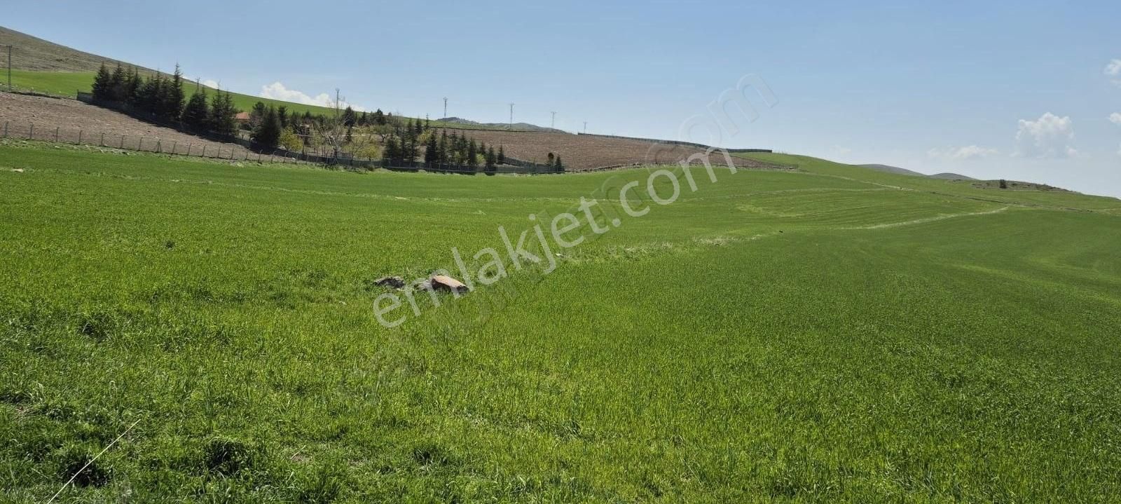 Beynam Satılık Tek Tapu Tarla